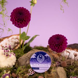 Divine Milk Chocolates