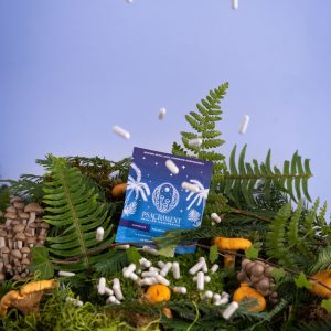 Divine Standard Dose Capsules